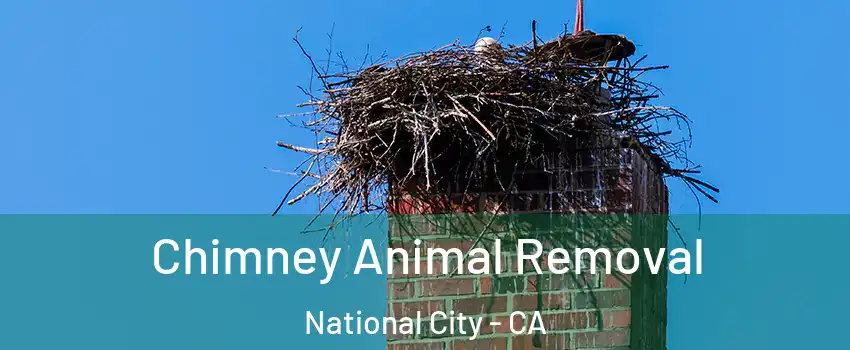 Chimney Animal Removal National City - CA
