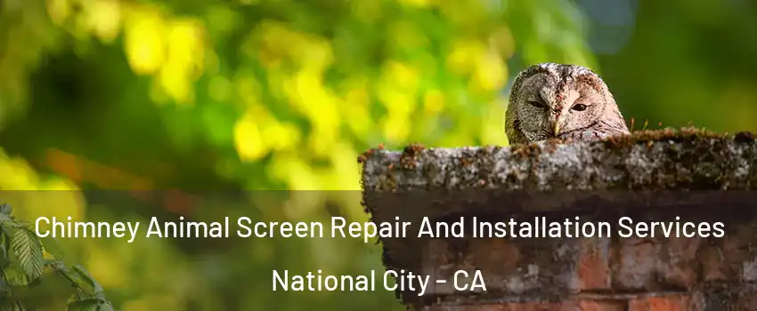  Chimney Animal Screen Repair And Installation Services National City - CA