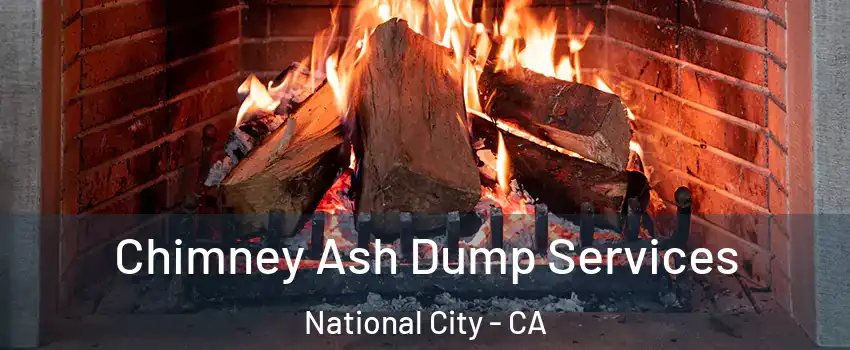  Chimney Ash Dump Services National City - CA