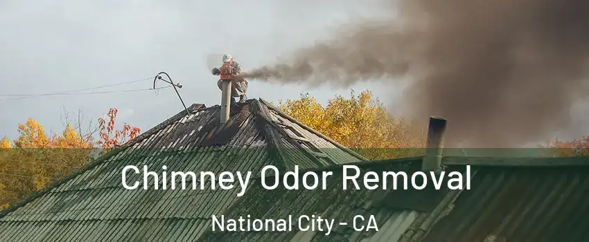  Chimney Odor Removal National City - CA