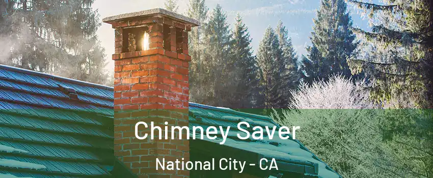  Chimney Saver National City - CA