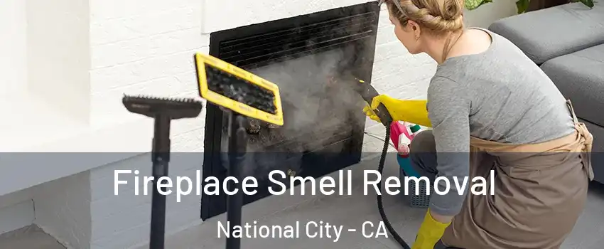  Fireplace Smell Removal National City - CA
