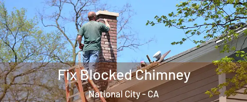  Fix Blocked Chimney National City - CA