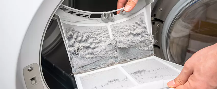 Best Dryer Lint Removal Company in National City, California