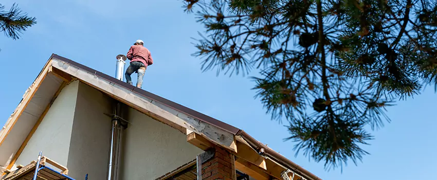 Birds Removal Contractors from Chimney in National City, CA