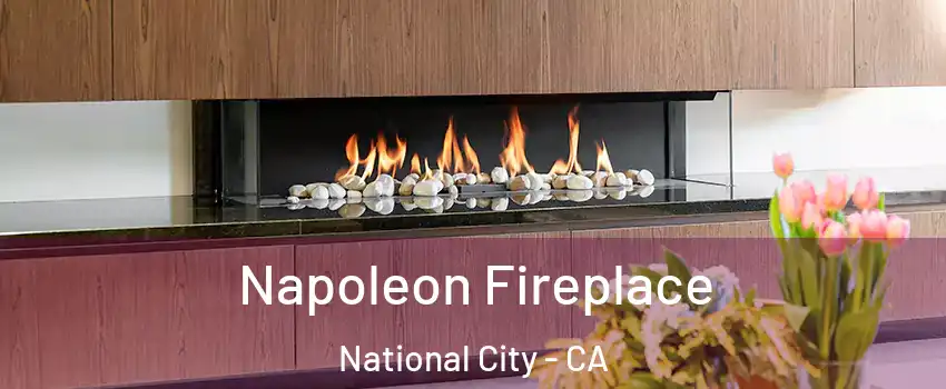  Napoleon Fireplace National City - CA